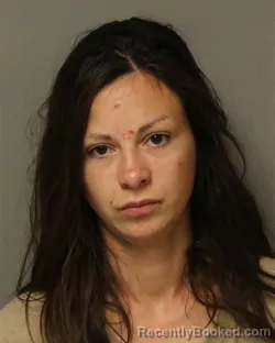 Mugshot of ELIZABETH MONIQUE BOYER booked in Grayson County, Virginia on July 2, 2026