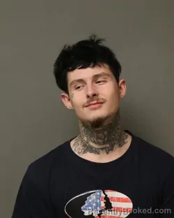 Booking photo from Grayson County, Virginia