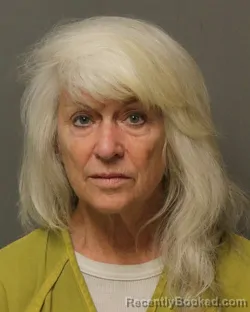 Mugshot of Debra Lee Davis booked in Grayson County, Virginia on July 19, 2026