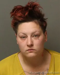 Mugshot of ROBIN NICOLE HOPSON