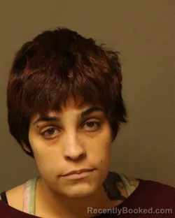 Mugshot of NICHOLE DAWN ANDRADE