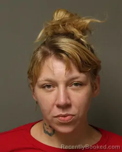 Mugshot of Serena Raven Adkins booked in Grayson County, Virginia on October 15, 2026