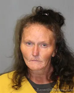 Mugshot of Jill Leslie Cobb booked in Grayson County, Virginia on October 13, 2026