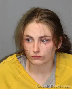 Mugshot of Hannah Louise Marie Elliott booked in Grayson County, Virginia on September 27, 2026