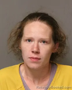 Mugshot of Kayleigh Teresa Hicks booked in Grayson County, Virginia on August 14, 2026
