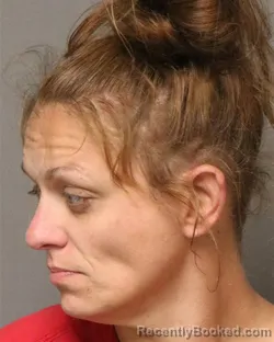 Mugshot of Lauren Markee Hodge booked in Grayson County, Virginia on August 15, 2026