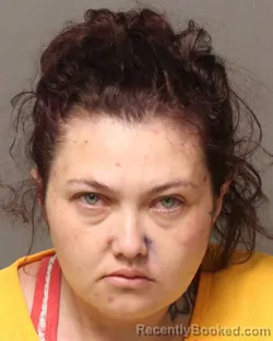 Mugshot of Mandy Marie Hull booked in Grayson County, Virginia on August 19, 2026
