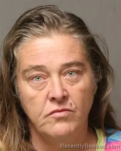 Mugshot of Kathy Ann Jarvis booked in Grayson County, Virginia on August 19, 2026