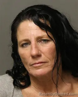 Mugshot of Connie Gale Lee booked in Grayson County, Virginia on October 13, 2026