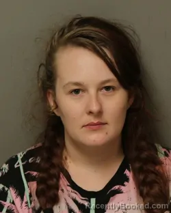 Mugshot of Alexis Noel Nelson booked in Grayson County, Virginia on October 16, 2026