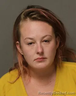 Mugshot of Alexis Noel Nelson booked in Grayson County, Virginia on October 16, 2026