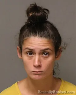 Mugshot of Rebecca Lynn Proffit booked in Grayson County, Virginia on August 17, 2026