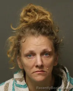 Mugshot of Jonna Nicole Shrewsberry booked in Grayson County, Virginia on October 14, 2026