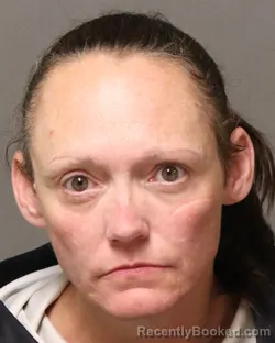 Mugshot of Rosalie Ann Workman booked in Grayson County, Virginia on August 19, 2026