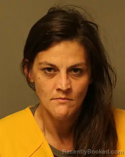 Mugshot of Tiffany Anne Wolford booked in Grayson County, Virginia on October 9, 2026