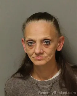 Mugshot of TAMMY DAWN WHITTAKER