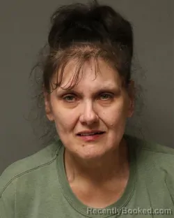 Mugshot of TINA LYNN DALTON booked in Grayson County, Virginia on April 25, 2026