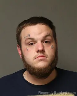 Booking photo from Grayson County, Virginia