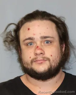 Mugshot of JAMES WILLIAM HANSHAW