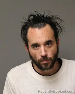 Booking photo from Grayson County, Virginia