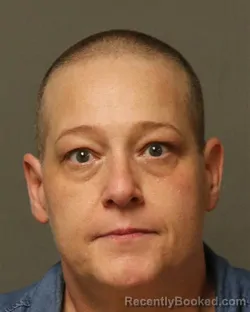 Mugshot of KAREN DENISE COFFEY booked in Grayson County, Virginia on June 10, 2026