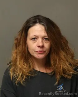 Mugshot of ASHLEY DIANE PAYNE