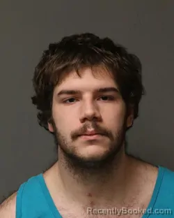 Mugshot of LOGAN GABRIEL BURRIS