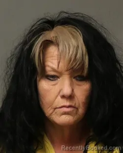 Mugshot of SHALEE MARIE VINES