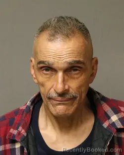 Mugshot of KIM B WERNER booked in Grayson County, Virginia on April 8, 2026