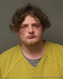 Mugshot of BRADLEY ALAN WILLIS