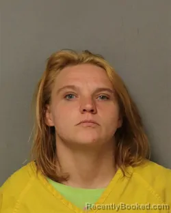 Mugshot of MICHELLE ANN SMITH