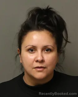 Mugshot of RAQUEL CERESA BARRERA booked in Grayson County, Virginia on June 14, 2026