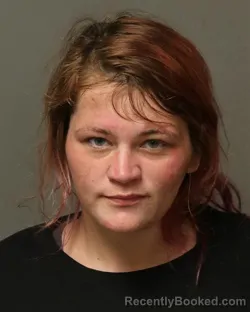 Mugshot of HANNAH JANE BOYD booked in Grayson County, Virginia on April 24, 2026