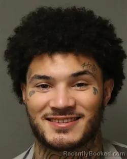 Booking photo from Grayson County, Virginia