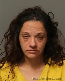 Booking photo from Grayson County, Virginia