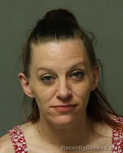 Mugshot of Tanya Elaine Brammer booked in Grayson County, Virginia on July 17, 2026