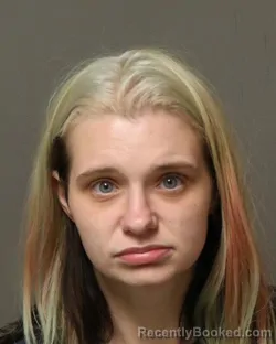 Mugshot of TIARA NICOLE LORENZINO booked in Grayson County, Virginia on March 16, 2026