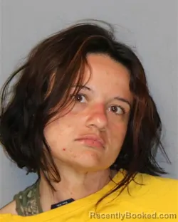 Mugshot of Evelyn Ann Walters booked in Grayson County, Virginia on July 18, 2026
