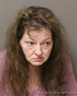 Mugshot of Karen Gray Warden booked in Grayson County, Virginia on August 6, 2026