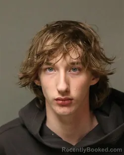 Mugshot of TANNER EVAN BROWN booked in Grayson County, Virginia on April 4, 2026