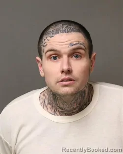 Booking photo from Grayson County, Virginia