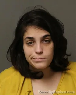 Mugshot of NICHOLE DAWN ANDRADE