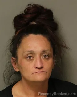 Mugshot of HEATHER VICTORIA HAWKINS booked in Grayson County, Virginia on July 4, 2026