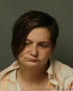 Mugshot of GOLDIE MARIE PAGE booked in Grayson County, Virginia on March 30, 2026