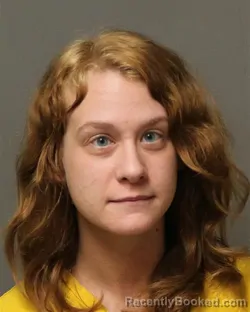 Booking photo from Grayson County, Virginia