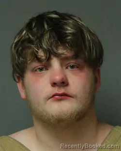 Mugshot of BRADLEY ALAN WILLIS