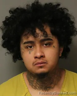 Mugshot of AXEL SOTELO PETATAN booked in Grayson County, Virginia on March 31, 2026