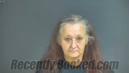 Booking photo from Halifax County, Virginia