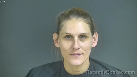 Mugshot of Andrea Dawn Wilson booked in Halifax County, Virginia on October 20, 2026