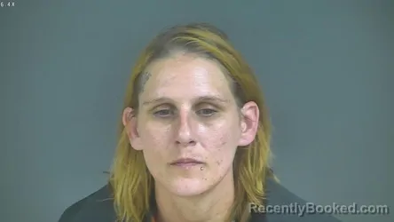 Mugshot of Andrea Dawn Wilson booked in Halifax County, Virginia on August 25, 2026